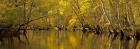 Chichahominy River Reflections in Fall, New Kent County, VA