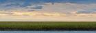 Eastern Shore National Wildlife Refuge Wetlands, VA