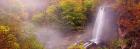 Falling Spring Falls in an Autumn Mist, Alleghany County, VA