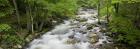 Little Stony Creek in Spring, Giles County, VA