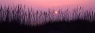 Sunrise at Back Bay National Wildlife Refuge, Virginia Beach, VA