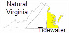 Tidewater Region